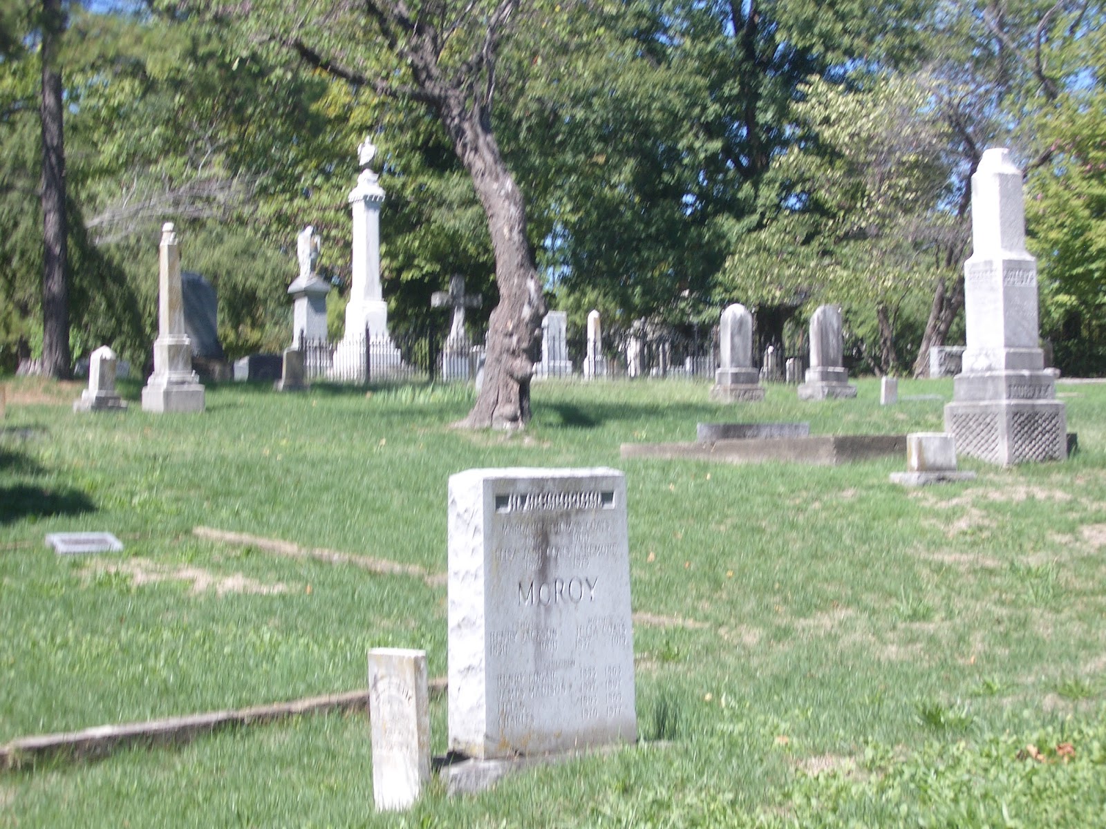 The Gothic Embrace A Walk Through the Evergreen Cemetery