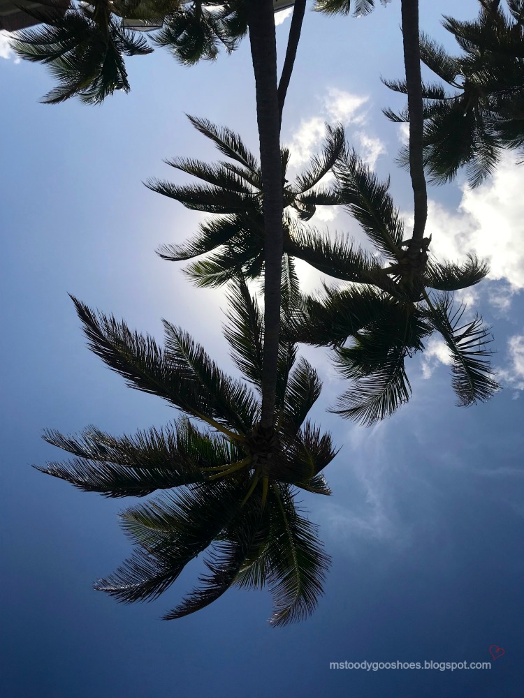 Deerfield Beach: A Month In Florida |Ms. Toody Goo Shoes Deerfield Beach: A Month In Florida |Ms. Toody Goo Shoes