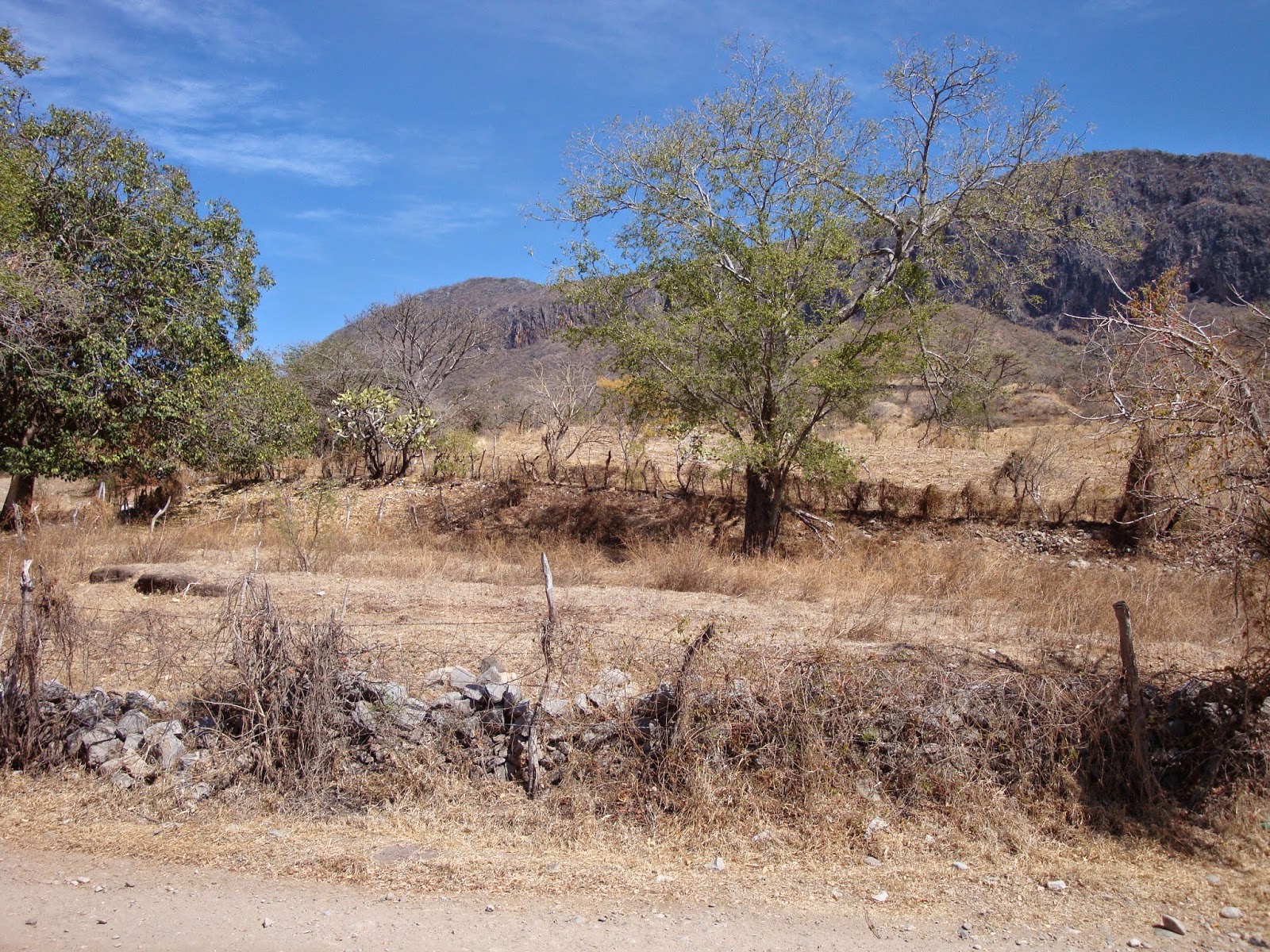 OXTOTITLAN: Paisaje de Oxtotitlán en el mes de enero