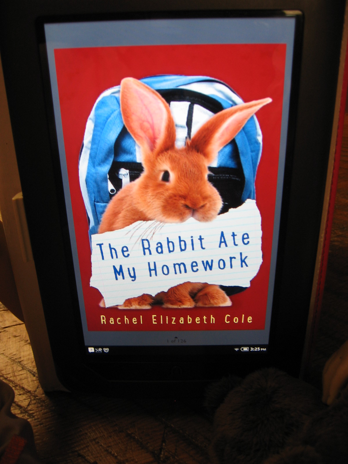 Facts about rabbits picture