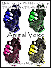 ANIMAL VOICE - FACEBOOK PAGE