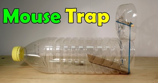 Begini Cara Membuat Perangkap Tikus dari Botol Bekas