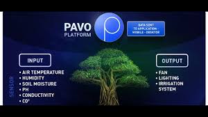 Pavocoin-ICO-Review Pavocoin-ICO-Review, Blockchain, Cryptocurrency
