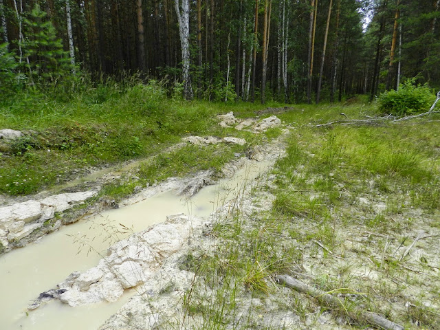 На эту дорогу указал навигатор
