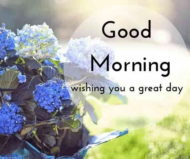 good morning photos of pink flowers