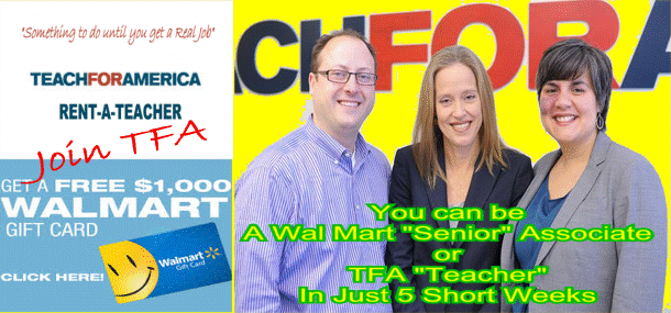 Image result for big education ape teach for america tfa