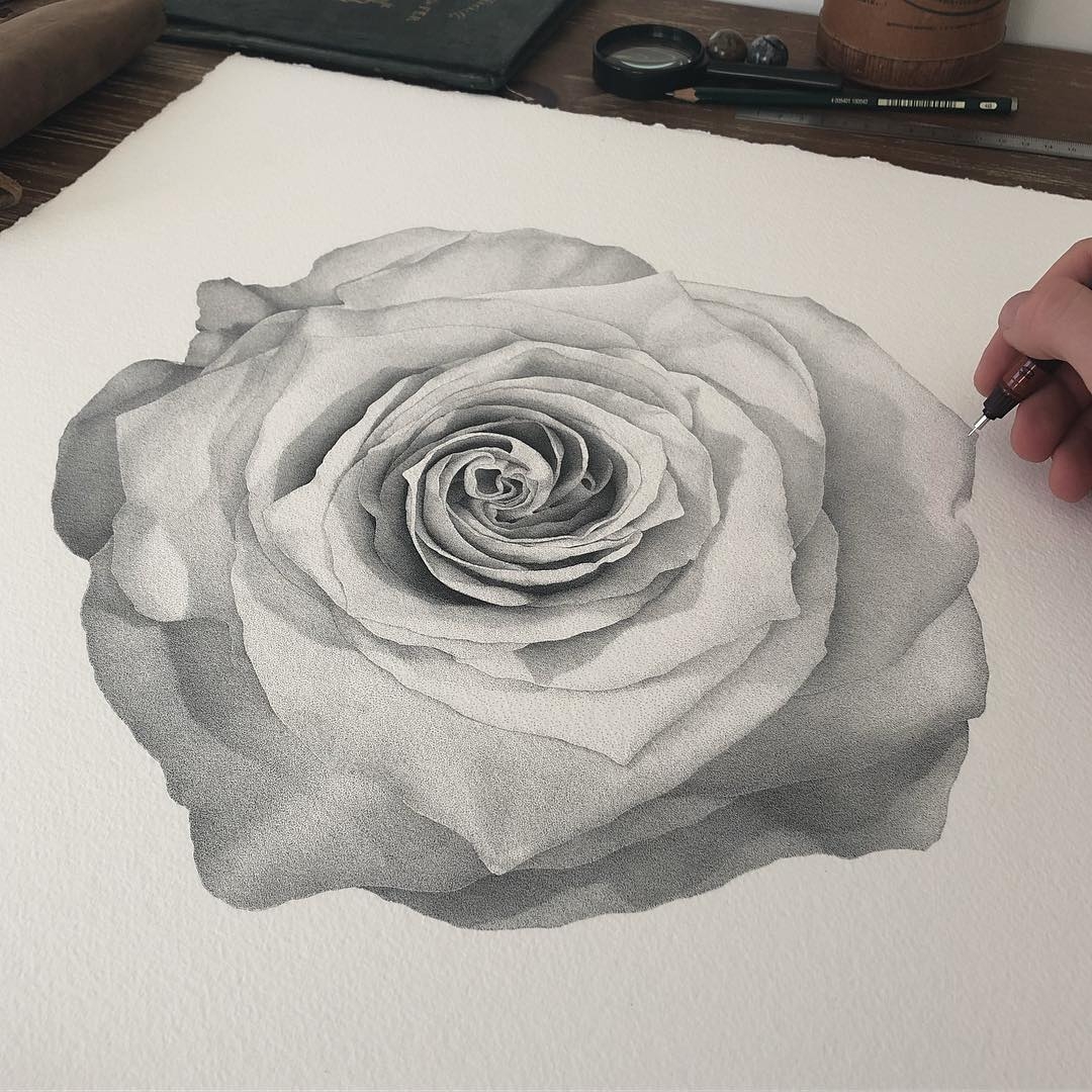 08-My-biggest-rose-Xavier-Casalta-Black-and-White-Stippling-Flower-Drawings-www-designstack-co