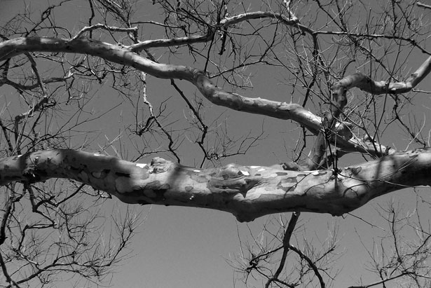 Blue Sky Big Dreams Eerie blue-sky-big-dreams-eerie