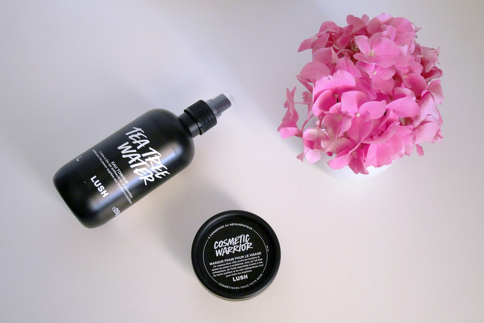 Lush products against acne Skincare routine for acne-prone skin