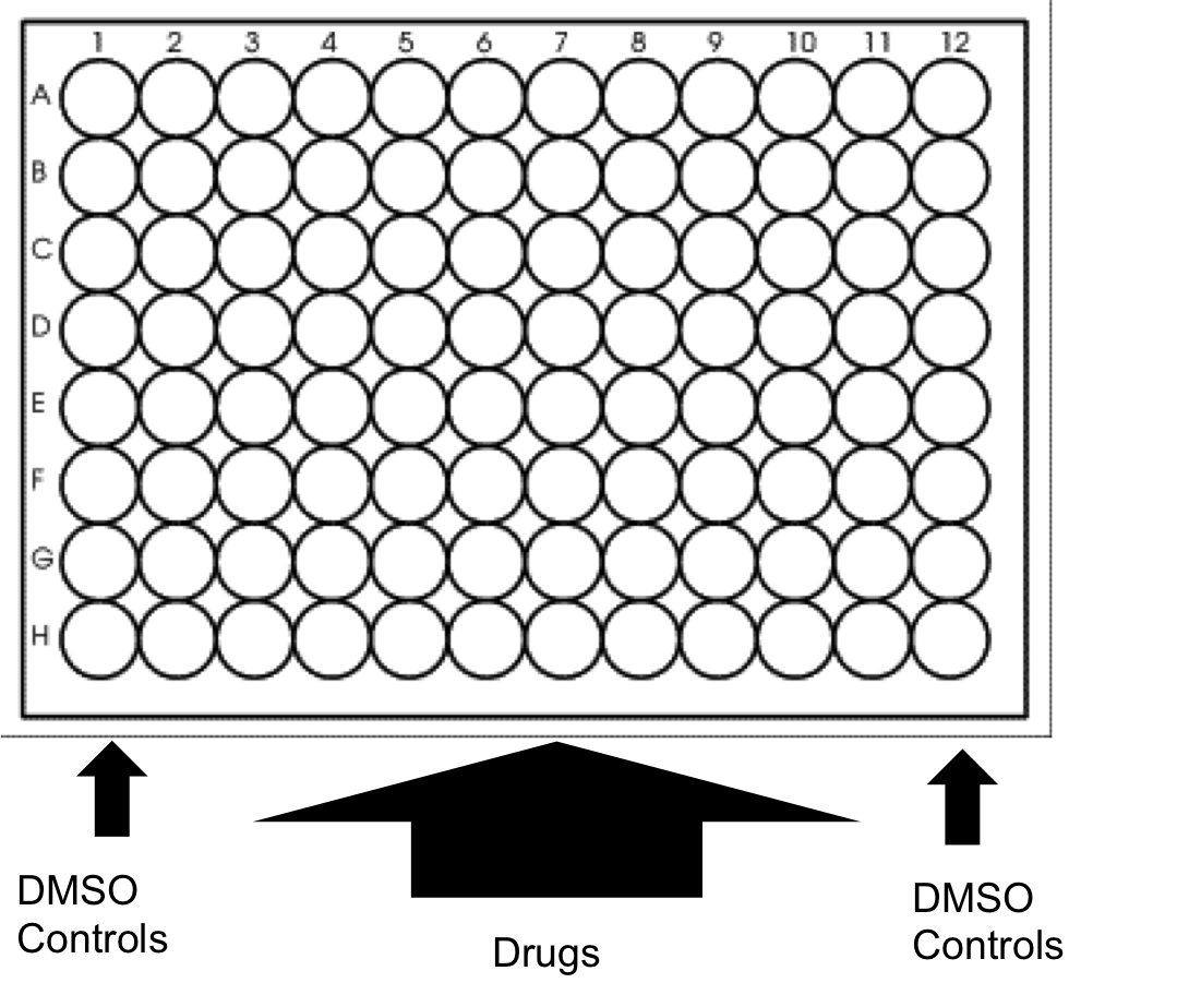 96 Well Plate Template
