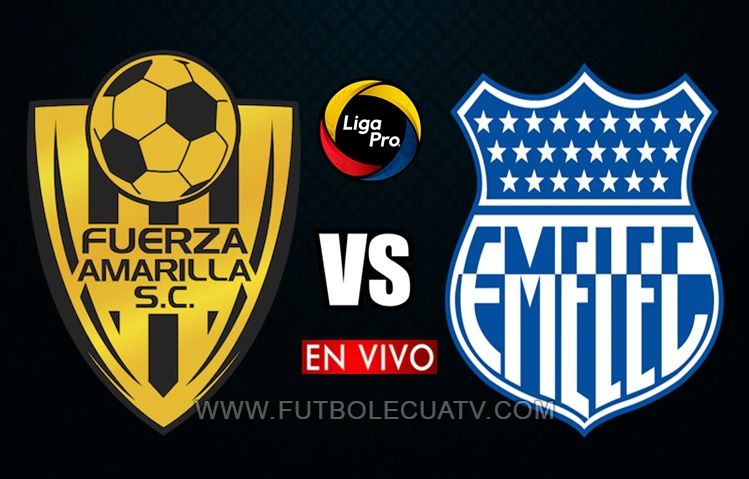 Image Result For Ao Vivo Argentina Vs Ecuador En Vivo Ronaldo Image Result For Ao Vivo Argentina Vs Ecuador En Vivo Ronaldo