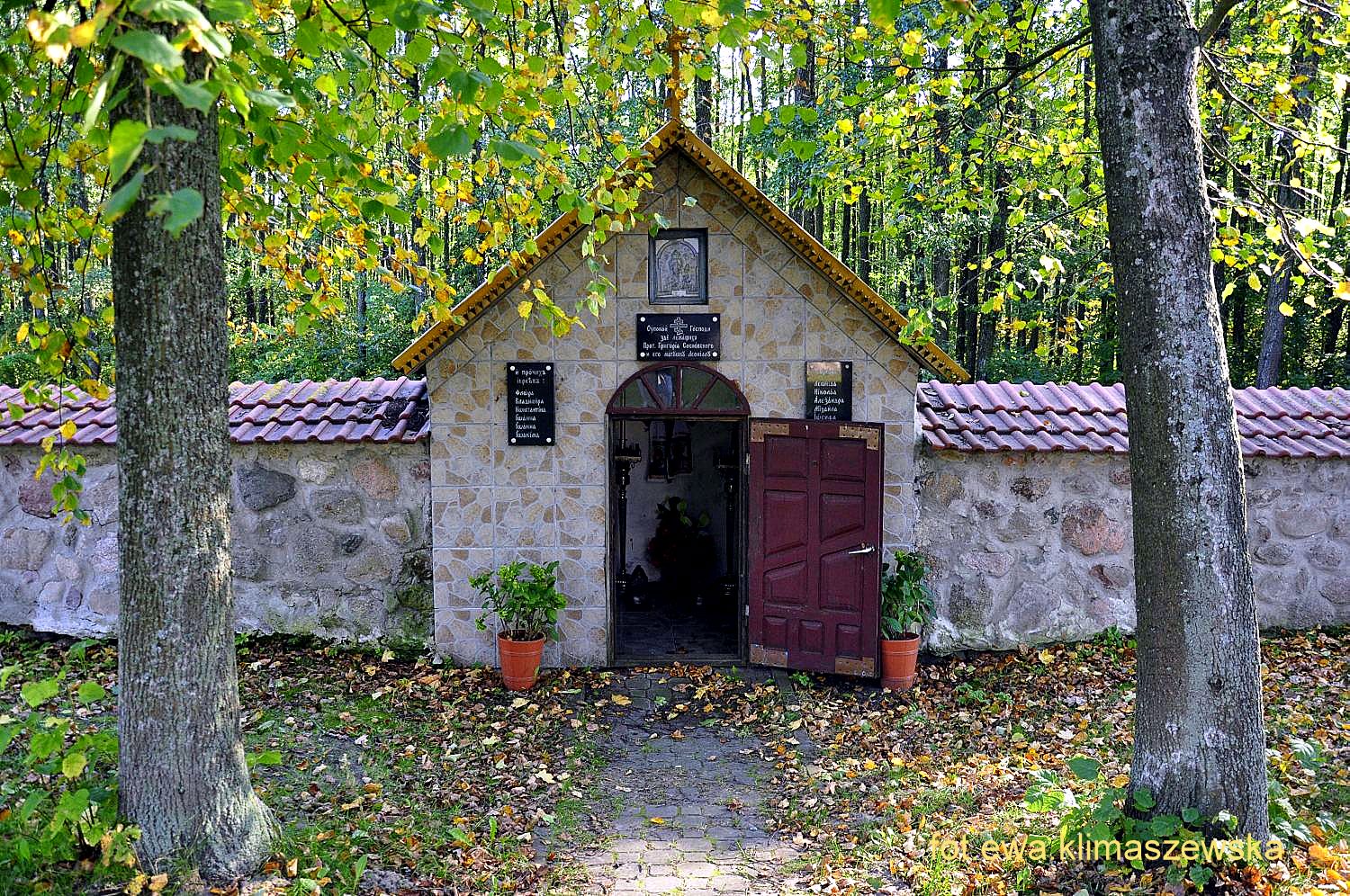 Naprzeciw SZCZĘŚCIU Podlaskie Puchły w niebieskim kolorze