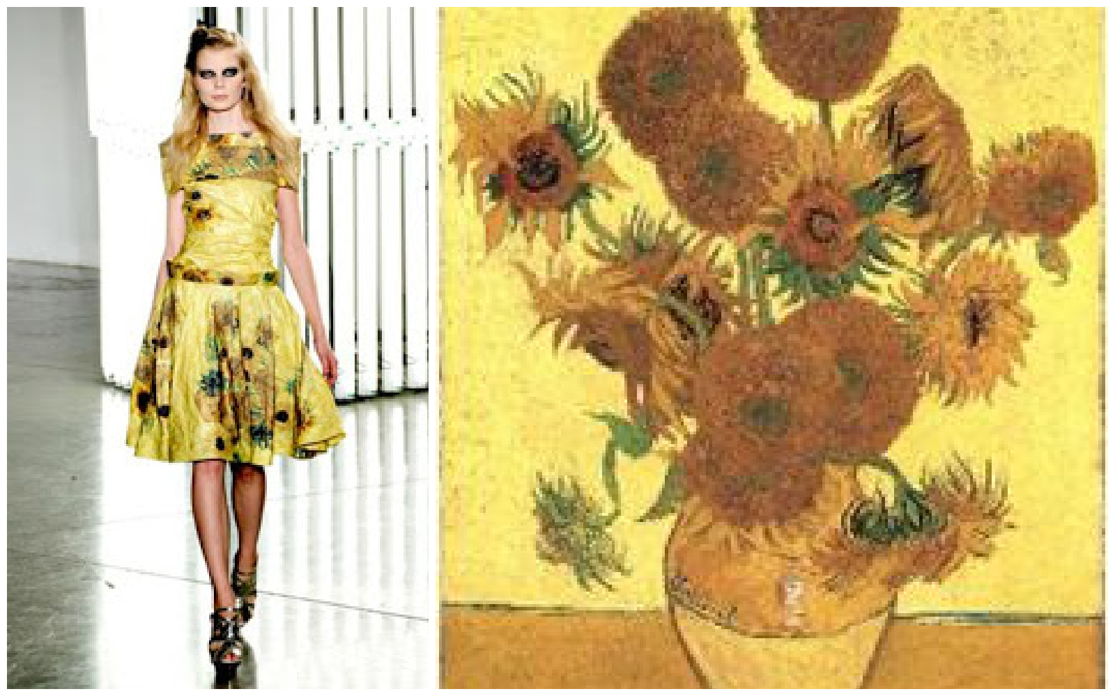 rodarte van gogh