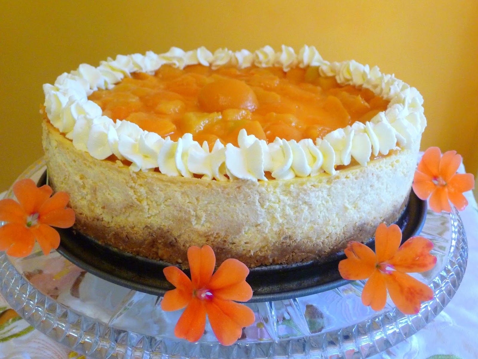 SPLENDID LOWCARBING BY JENNIFER ELOFF SOUR CREAM CHEESECAKE WITH