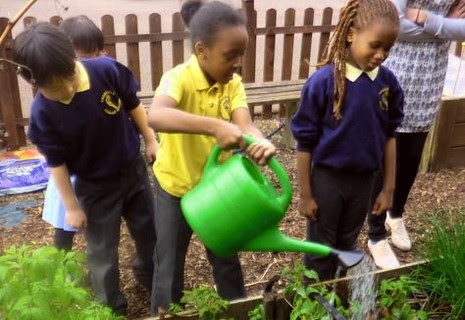 plantas con niños