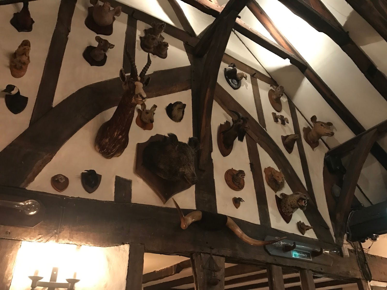 The House of the Trembling Madness Adam Ain't Cooking