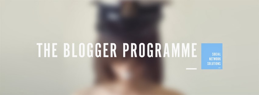 The Blogger Programme