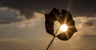 Lettera Per I 18 Anni Della Fidanzata Auguri Di Buon Compleanno Ricchi D Amore Linkuaggio