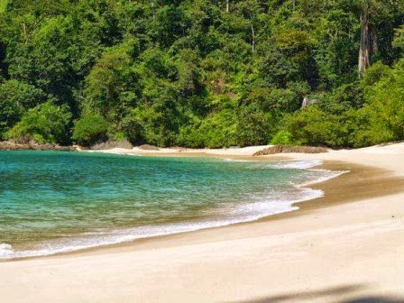 Pantai Sukamade Pantai Sukamade
