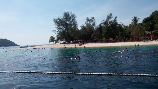 Aktiviti Menyelam di Pulau Redang, Terengganu