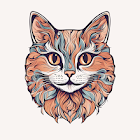 Meong Stream
