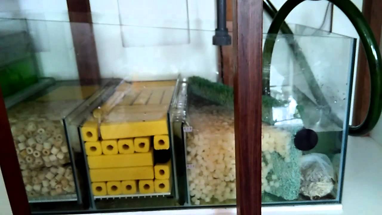 Jenis Filter Akuarium Terbaik Ikanesia Id Jenis Filter Akuarium Terbaik