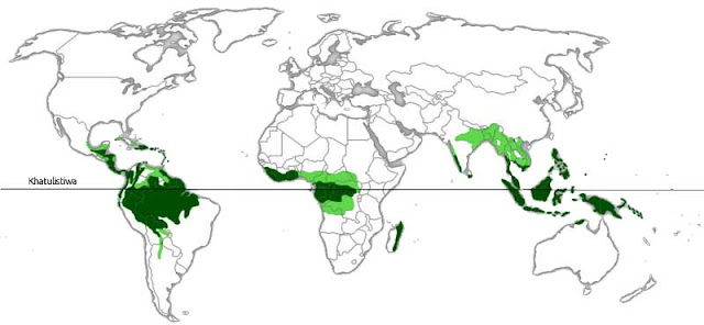 Gambar Peta Sebaran Hutan Hujan Tropis di Dunia