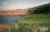 Fuente:http://soilcarboncoalition.org/files/images/Mexico%201963-2003.jpg