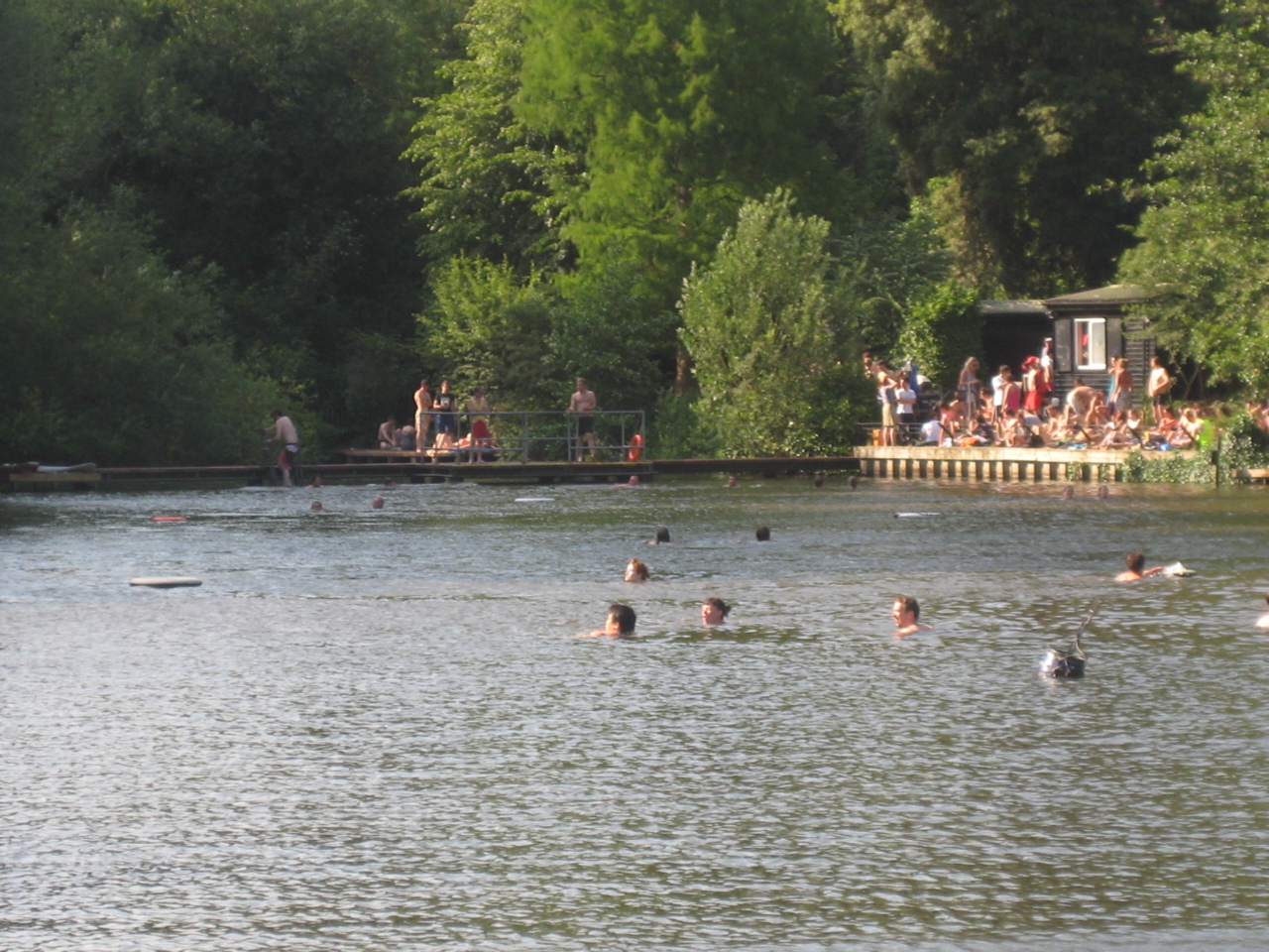 100 Great Things About London 18. Swimming with ducks in