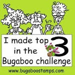 Top 3 Bugaboo