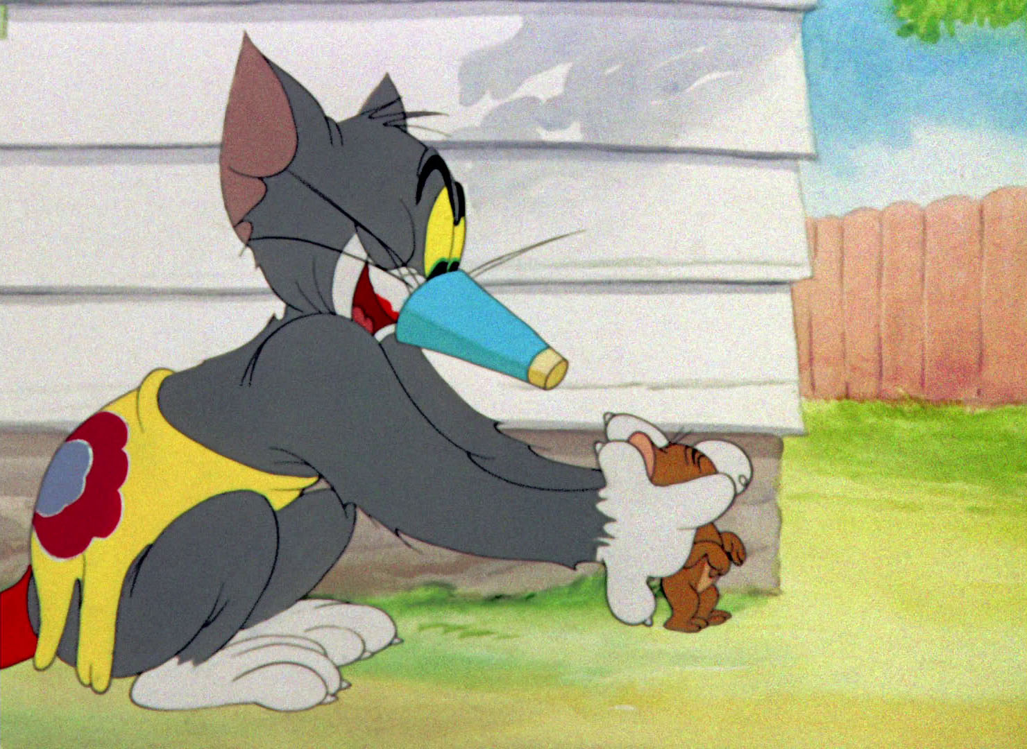 джерри и птичка. том и джерри птички. том и джерри птичка. том и джерри птички. том и джерри flirty birdy.