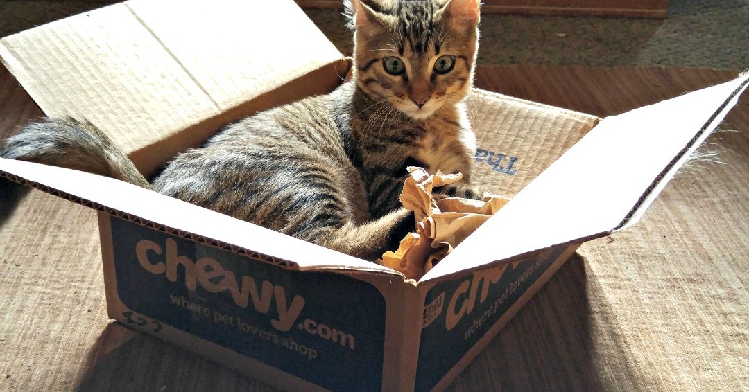 Delivery from Chewy I And Love And You Variety Pack Canned Cat Food