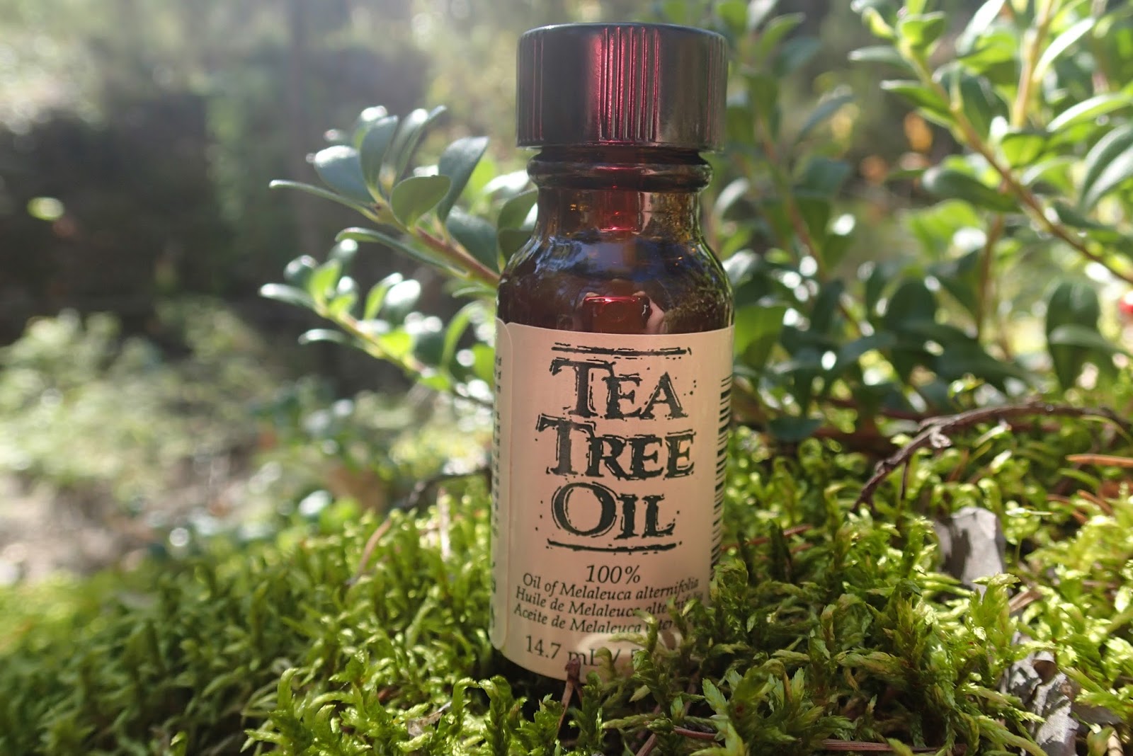 Чайное дерево от чего помогает. Масло чайного дерева. Капли чайного дерева. Чайное дерево эфирное. Эм чайного дерева.