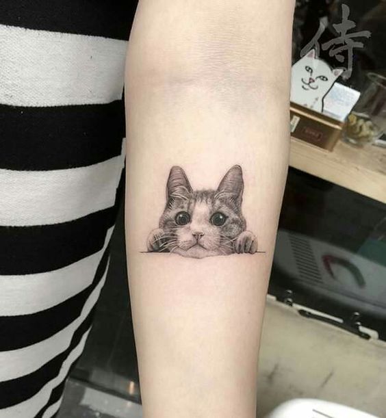 Tatuagens de gato Tatuagens de gato
