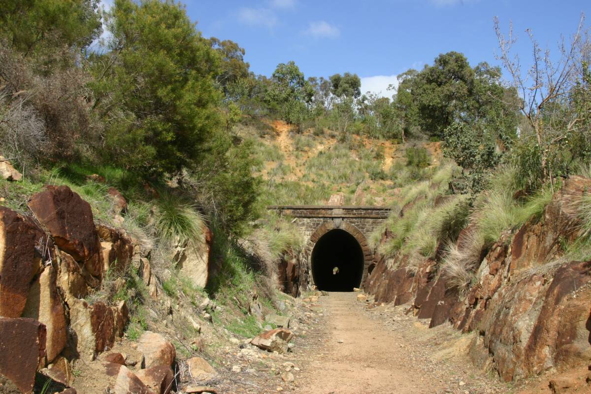 Mundaring Dog Walks Mundaring Dog Walks