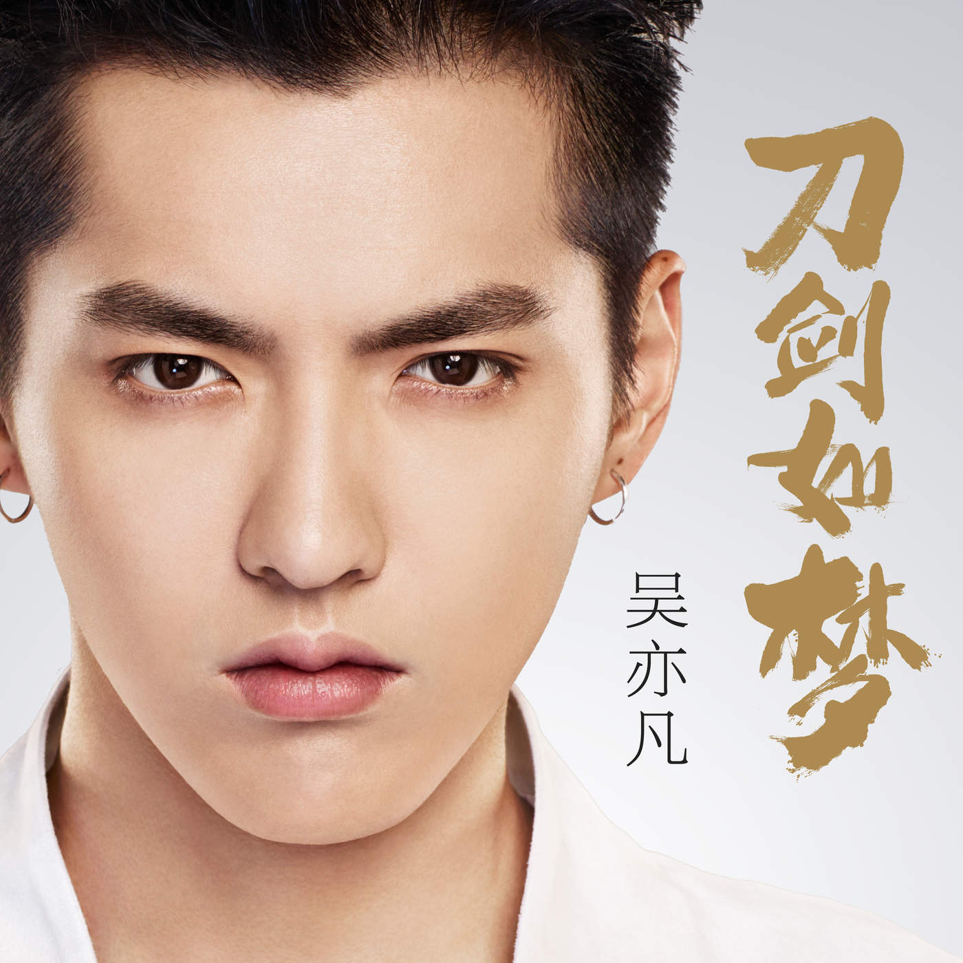 wu yi fan sword like a dream скачать