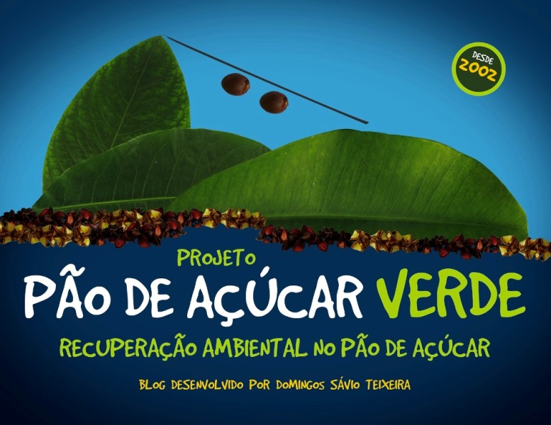 RECUPERAÇÃO AMBIENTAL NO PÃO DE AÇÚCAR