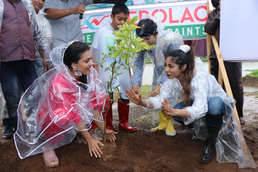 Kajol at Earth Renewal Project by Stamp in Mumbai - South Indian