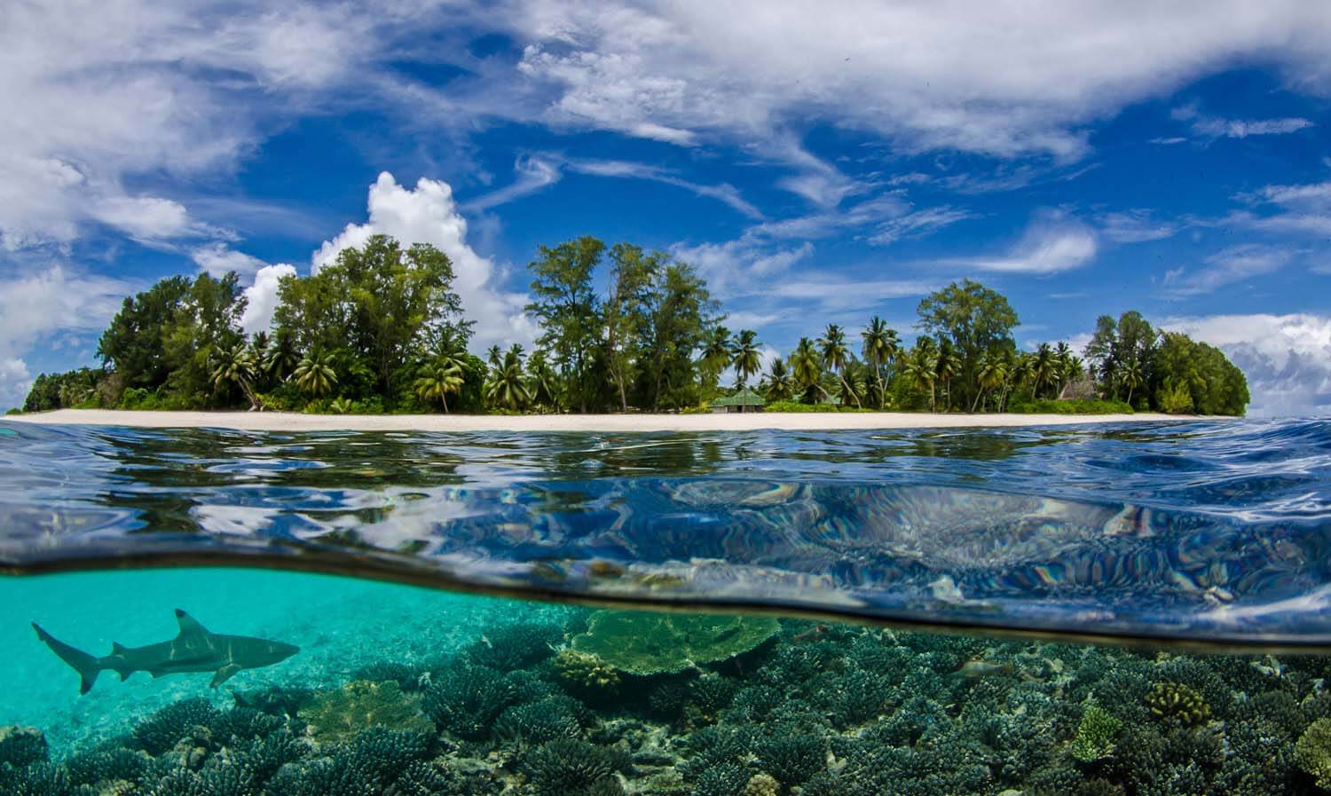 Discover Your Next Destination: Seychelles Island: Gem Of The Indian Ocean