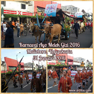 Karnaval ayo Melek Gizi 2016