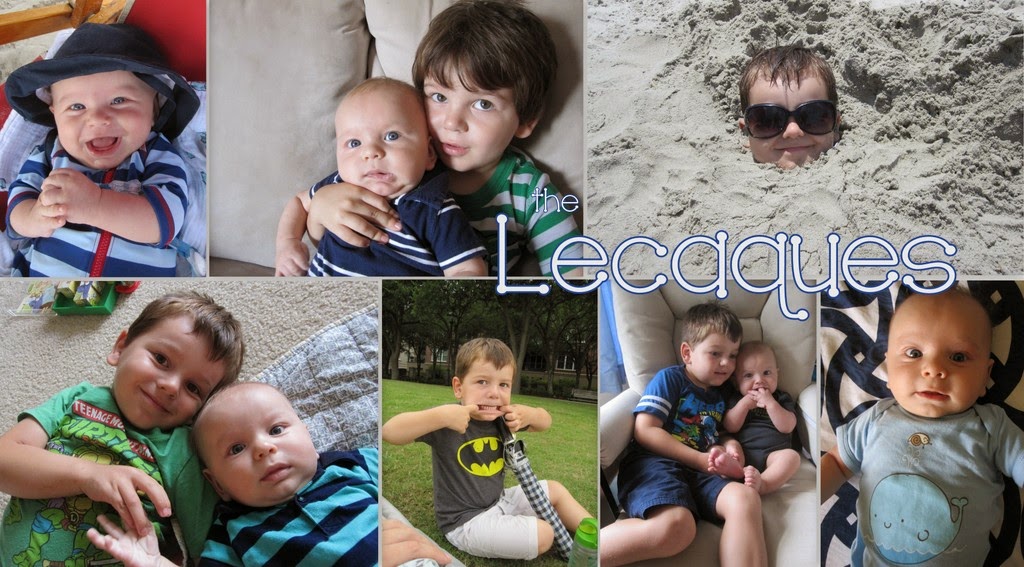 the Lecaques
