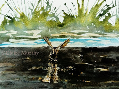 british wildlife watercolours bird watercolour painting