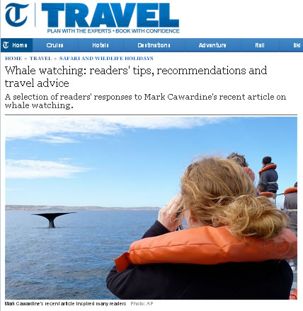 Whale watching Peninsula Valdes
