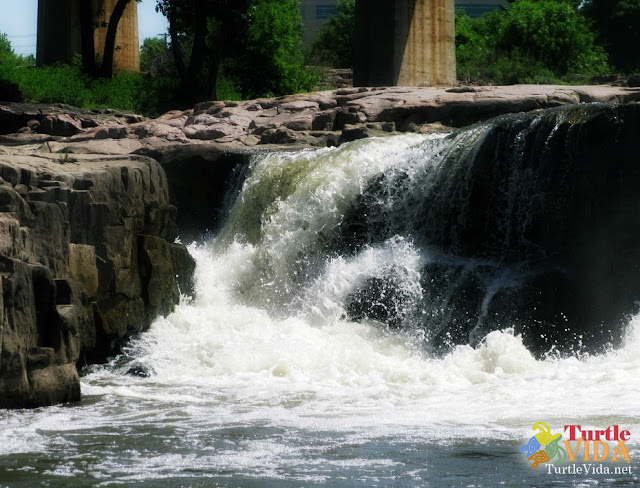 All the rushing water flowing over all of the rocks. Falls Park is a little bit of heaven.