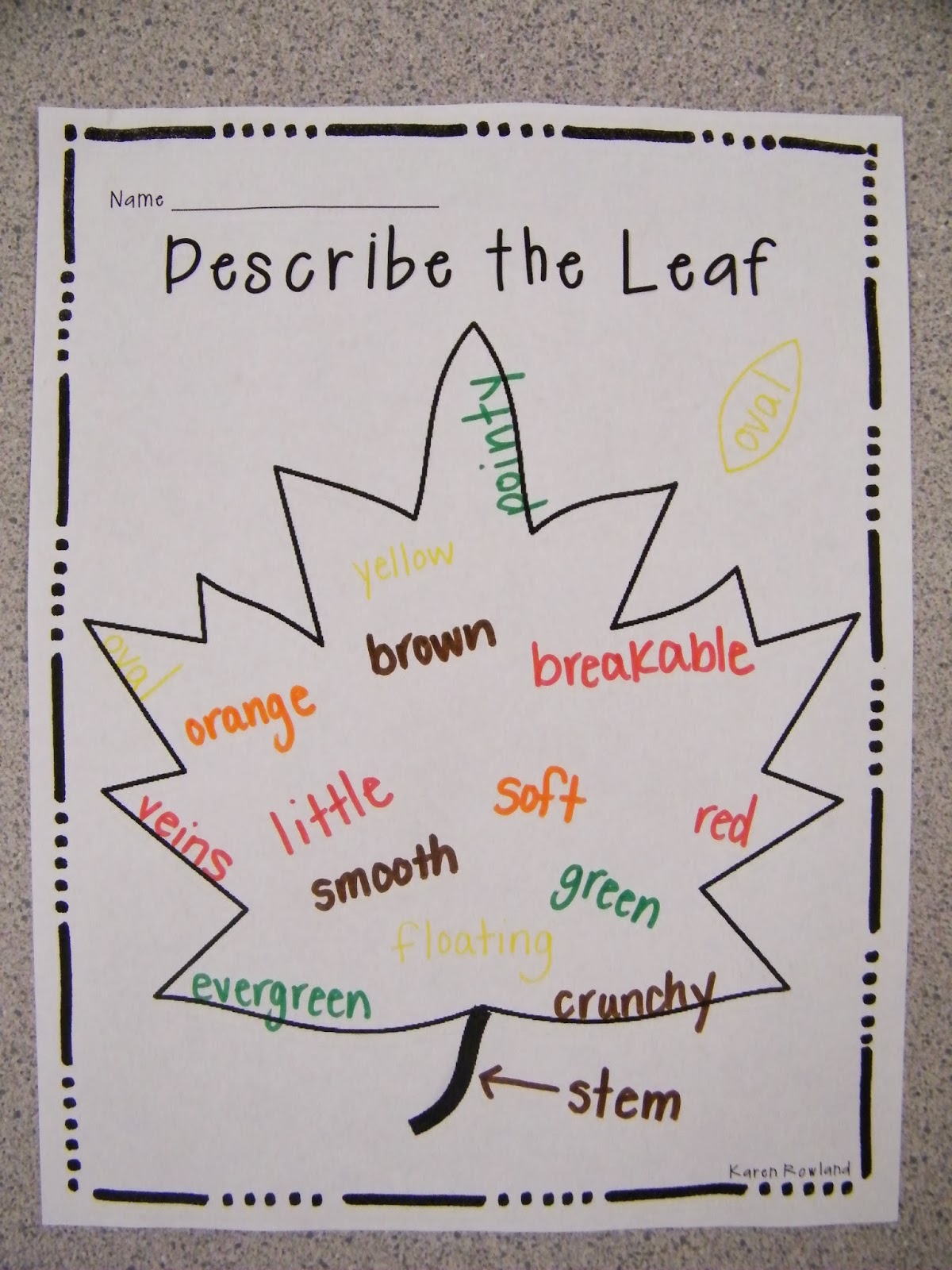 Adventures With Firsties Leaves, Leaves, and more Leaves!