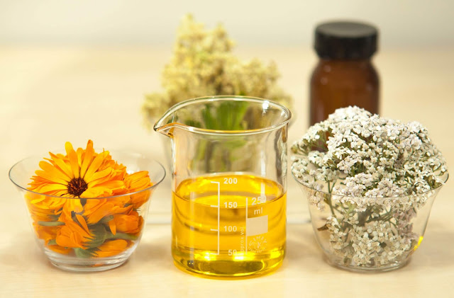 Top 5 Hair Care Routine for Reducing Hairball Top 5 Hair Care Routine for Reducing Hairball