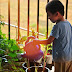 7 Ways Getting Your Children Interested In Gardening