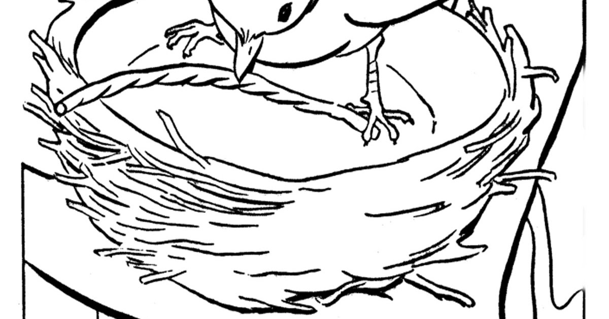 Gambar Burung Buat Mewarnai