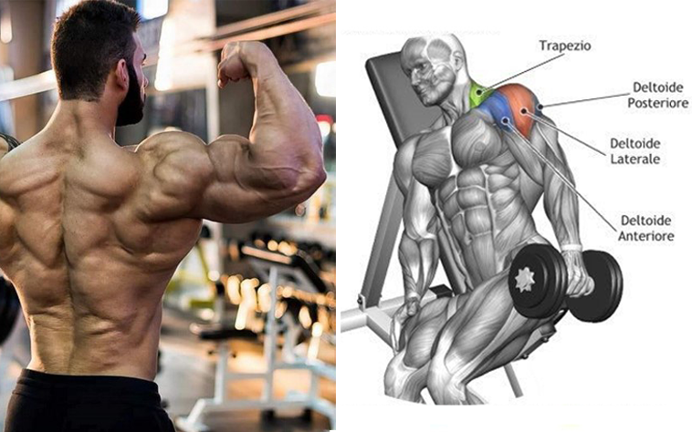 The Only 3 Exercises You Need To Do To Develop Monstrous Delts Strong Muscle Deltoid Workout Extreme Workouts Exercise