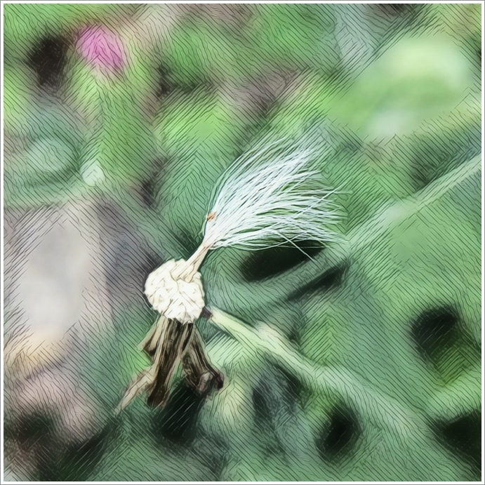 My Image 34